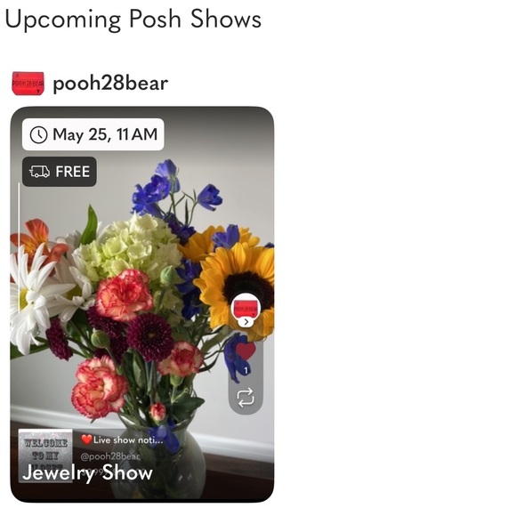 Posh Party Share show Free giveaways - Picture 1 of 9